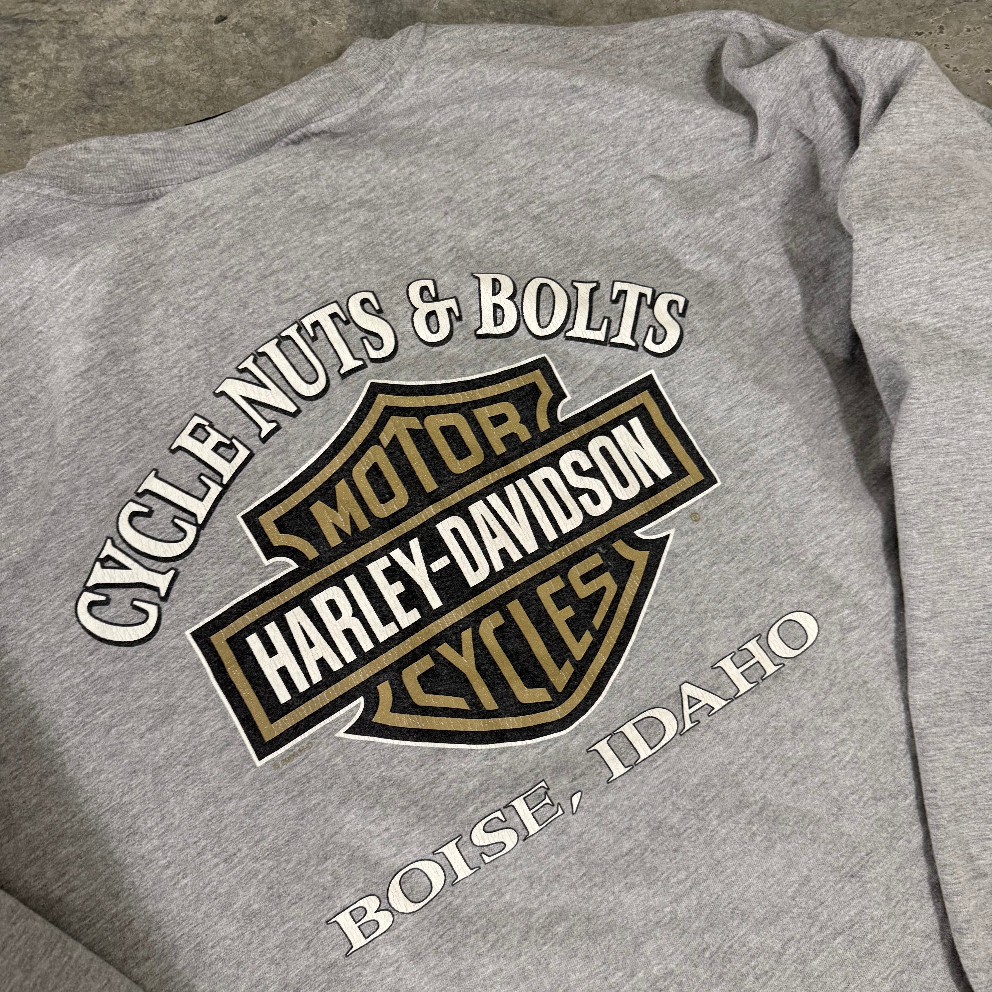 Harley Davidson blue V flame grail vintage long sleeve XXL