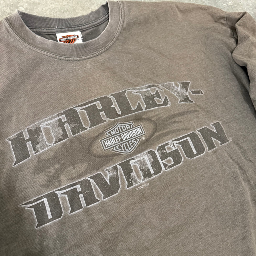 Harley Davidson vintage dragon metallic Y2K flame long sleeve XL