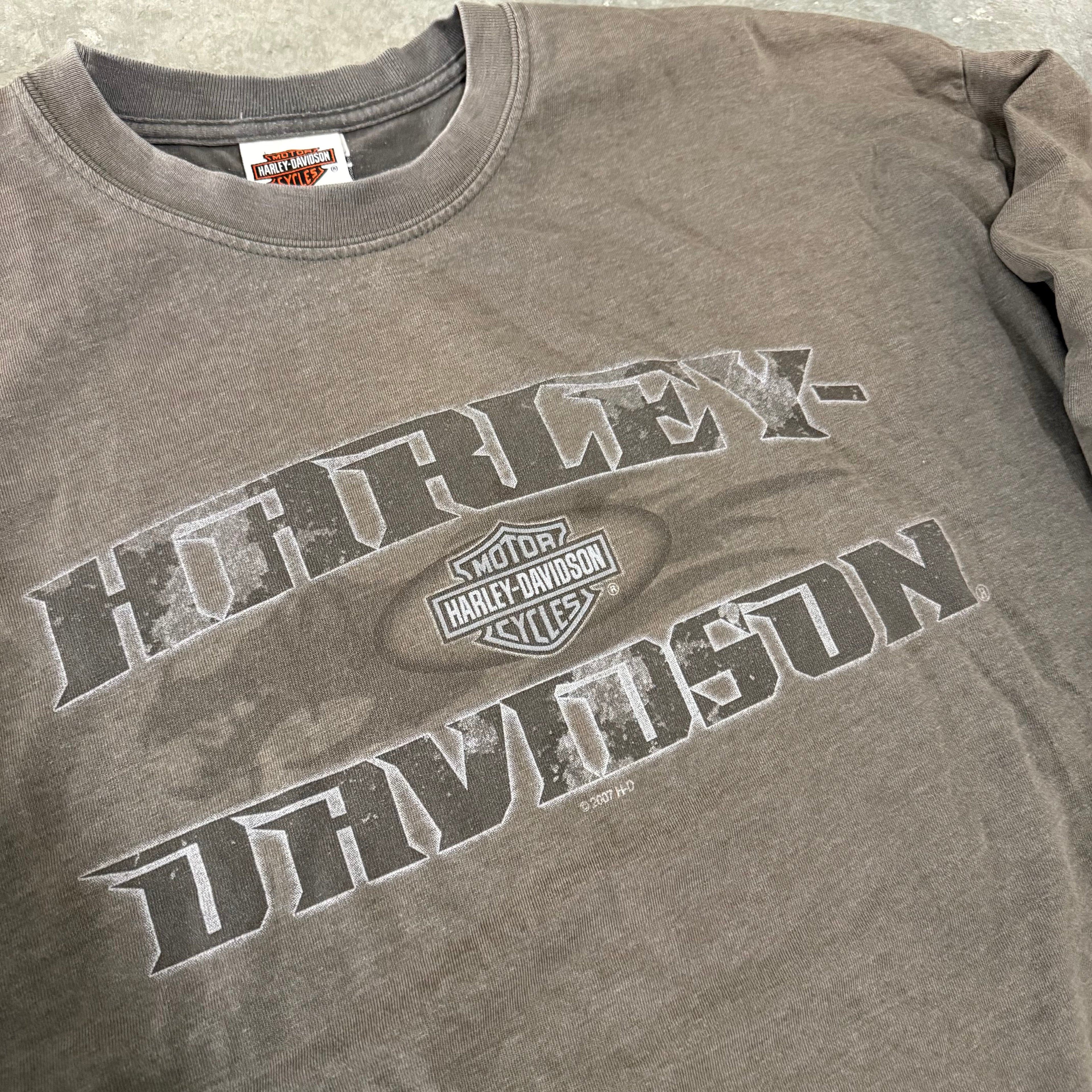 Harley Davidson vintage dragon metallic Y2K flame long sleeve XL